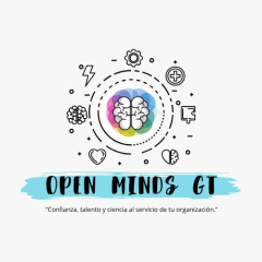 Open Minds GT