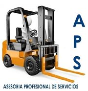 Asesoría Profesional de Servicios (APS)